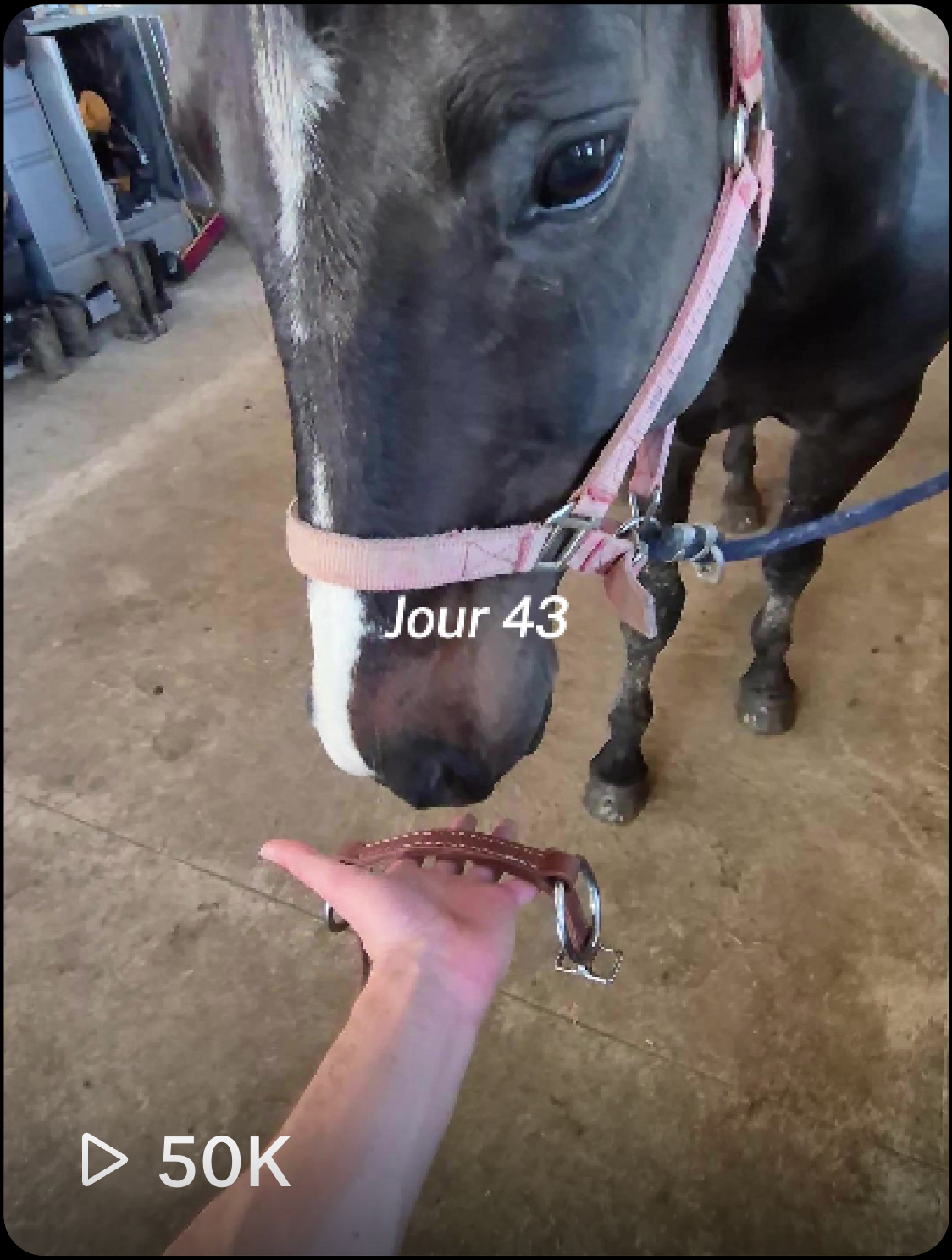 Résultats